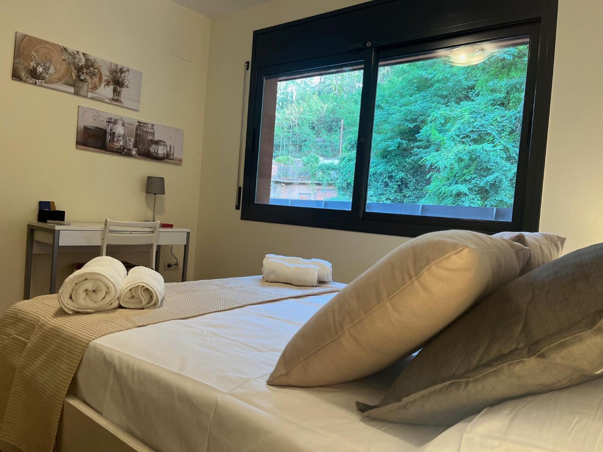 Apartamento El Mirador De La Farga Arbúcies Exterior foto